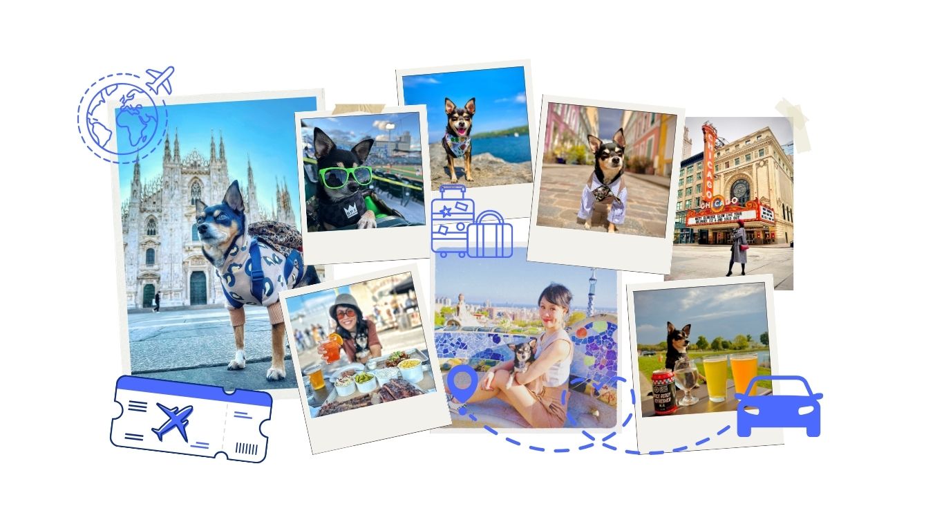 The Ultimate Pet Travel Guide – How to Travel to Europe with a Pet without the stress [Part 1]