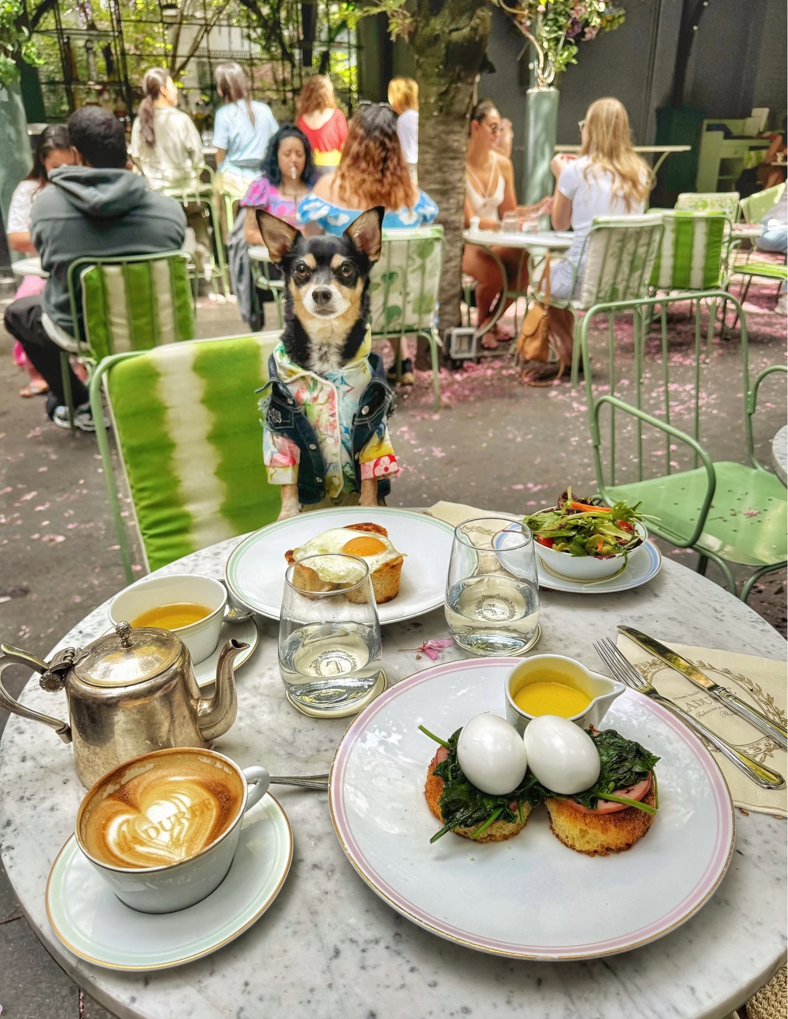 Cherry Blossom Brunch With Your Dog in NYC: The Secret Parisian Garden Café in SoHo