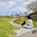 Winter Dog Days NYC: Last Days Left to Visit Governors Island With Your Dog