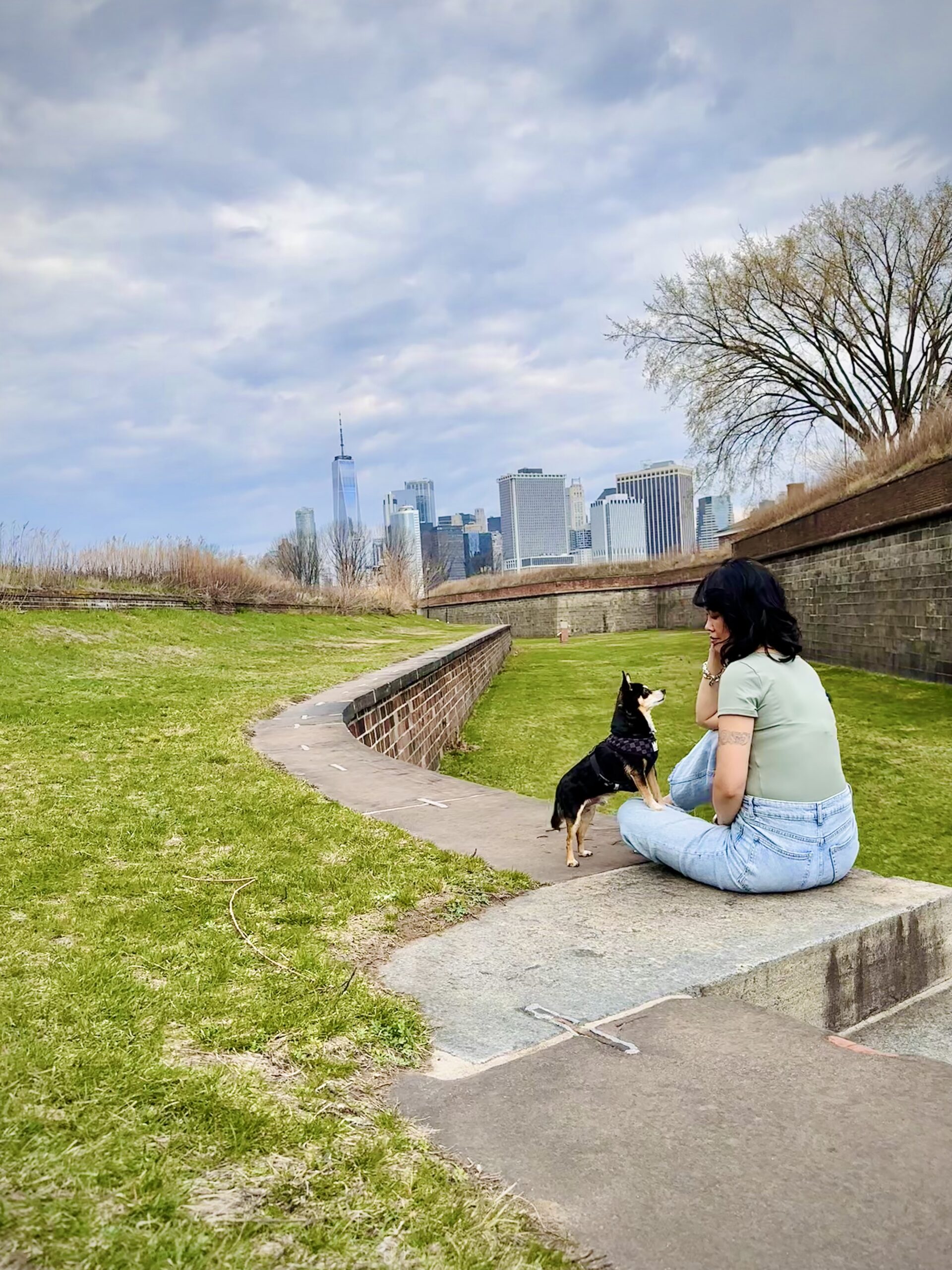 Winter Dog Days NYC: Last Days Left to Visit Governors Island With Your Dog