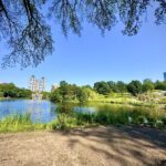 The Best Parks in New York City for Dogs (Off-Leash info & Scenic Trails)