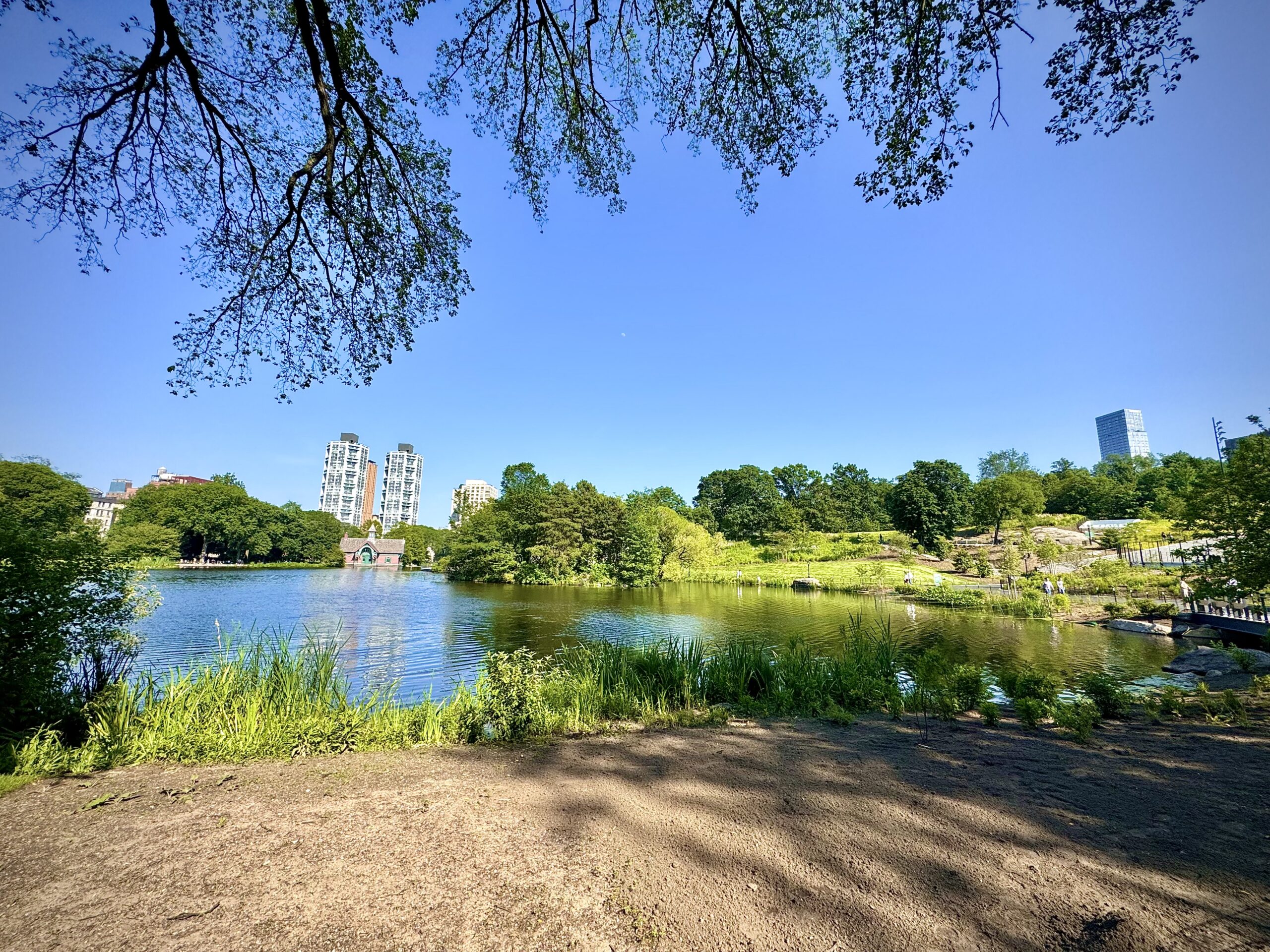 The Best Parks in New York City for Dogs (Off-Leash info & Scenic Trails)