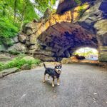 Hidden Waterfalls in Central Park: The Most Magical NYC Escape You’ve Probably Walked Past