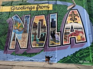 Greeting from Nola sogn SPring 2026 with Chance