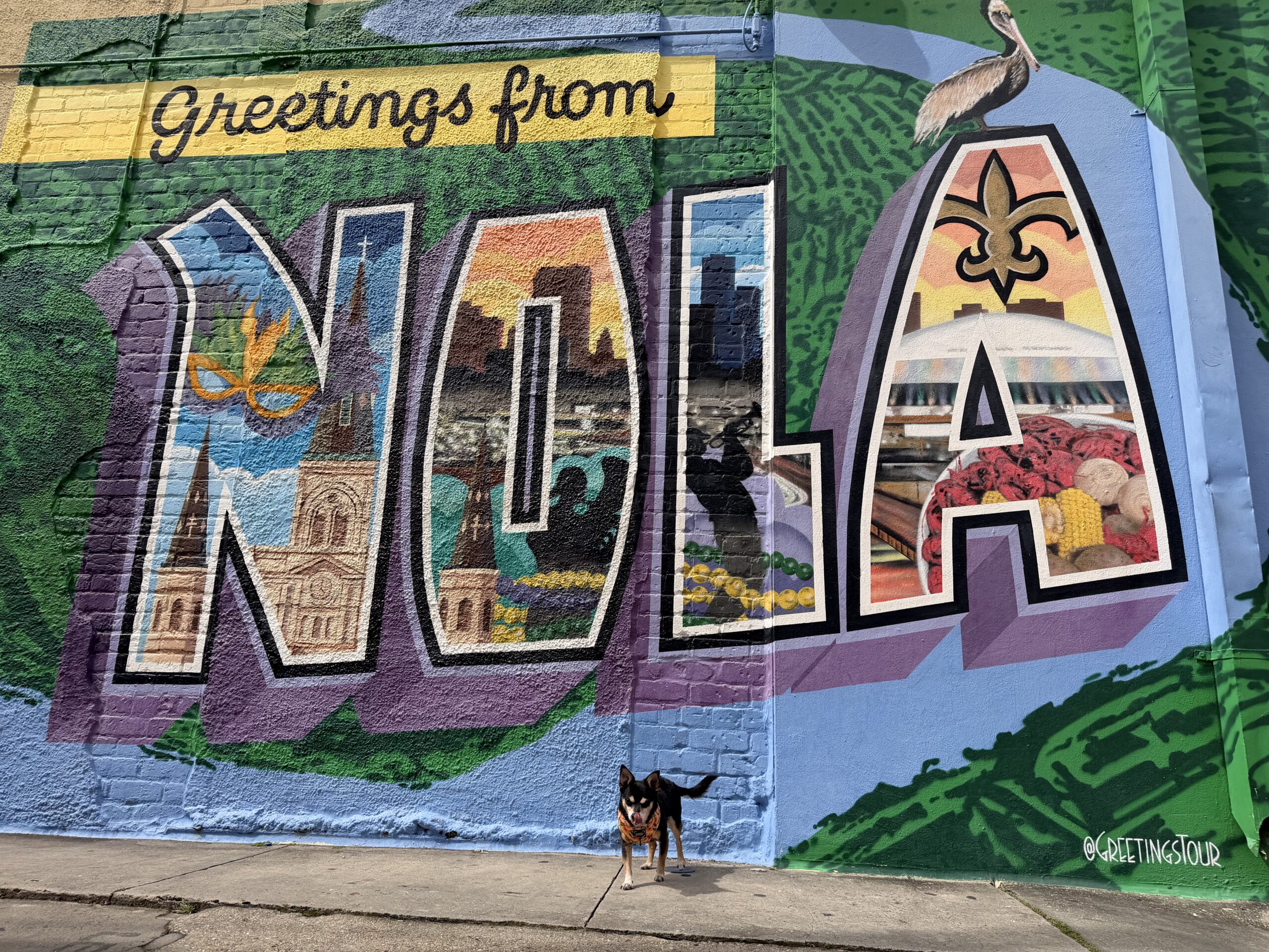 Greeting from Nola sogn SPring 2026 with Chance