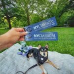 FREE Shakespeare in the Park With Your Dog Is Back This Week—And It Might Be NYC’s Most Magical Summer Night Out