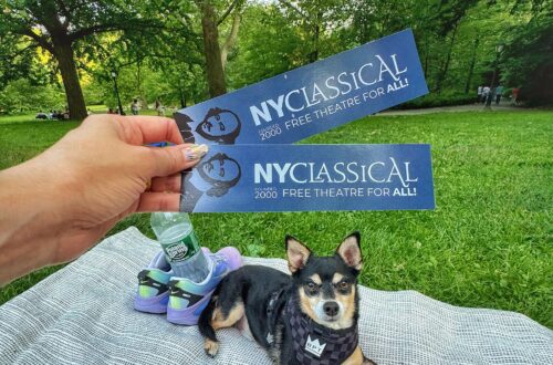 Tri colored chihuhuahua mix posing with tickets from the NY Classical Theatre - Shakespeare in the Park series for summer