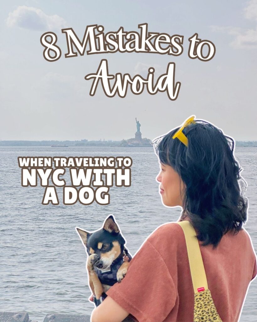 Cover to IG carousel:8 mistakes to avoid - NYC